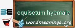 WordMeaning blackboard for equisetum hyemale